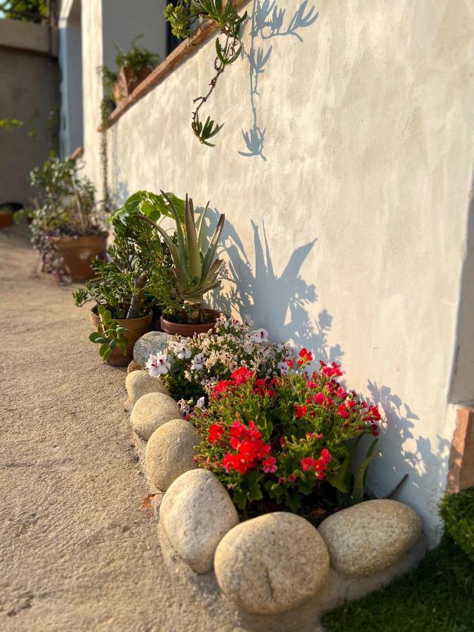 Apartamento Atalantar Villanueva De La Vera Exterior photo